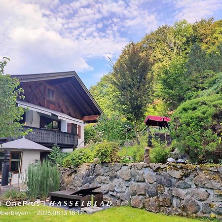 Ferienapartment Opitz - Zugspitzregion Ohlstadt Εξωτερικό φωτογραφία