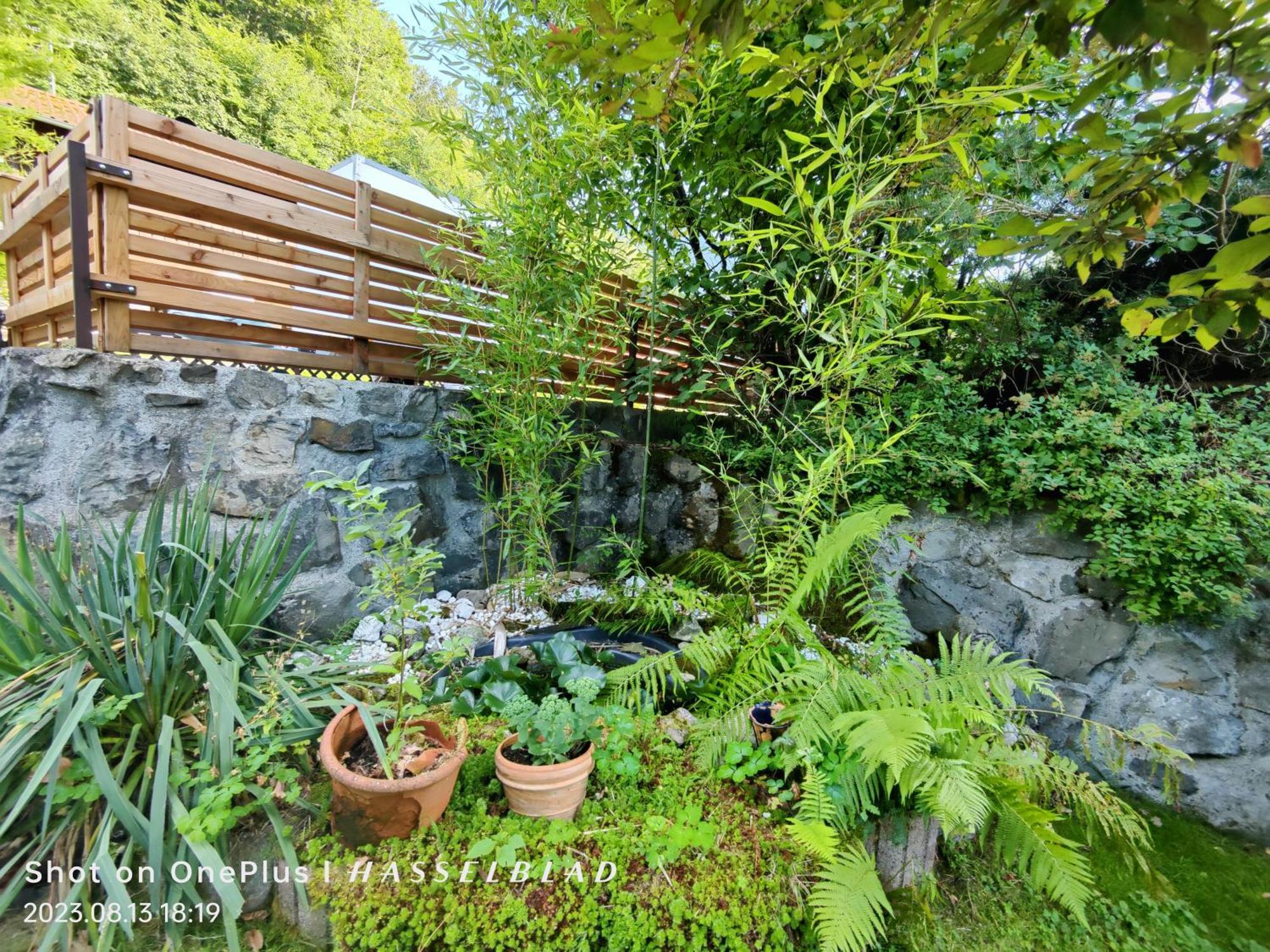 Ferienapartment Opitz - Zugspitzregion Ohlstadt Εξωτερικό φωτογραφία